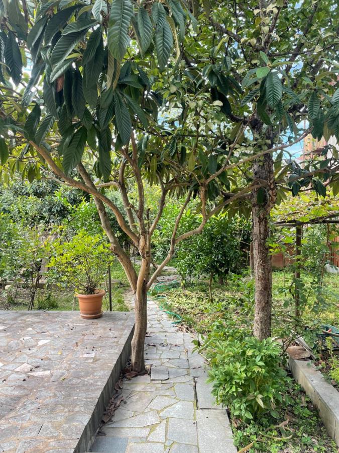Gardenie Apartman Kutaiszi Kültér fotó